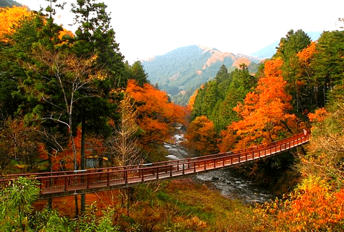 秋川渓谷